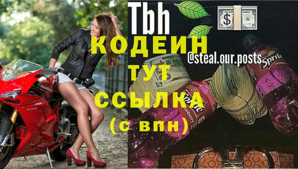 стаф Арсеньев
