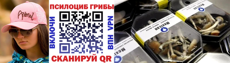 Галлюциногенные грибы Cubensis Верхняя Тура