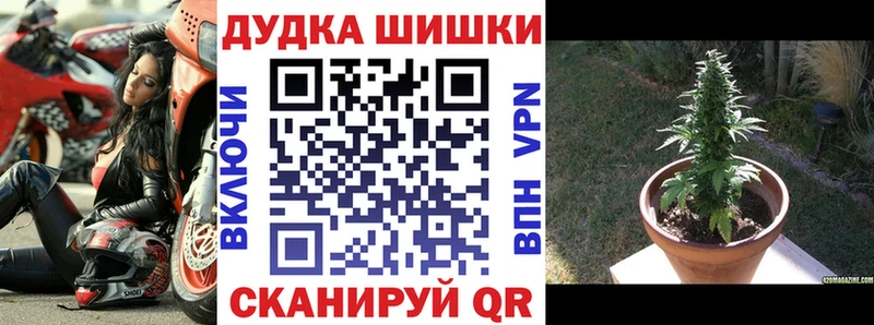 Бошки Шишки марихуана  Верхняя Тура 